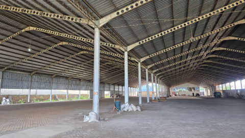 Foto 4